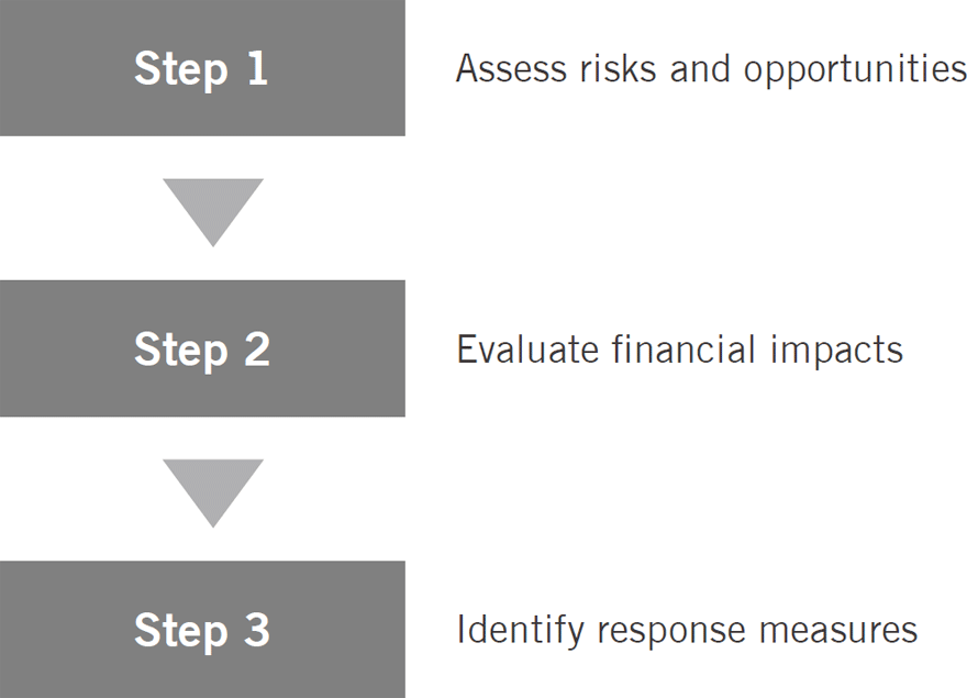 Steps of Analysis